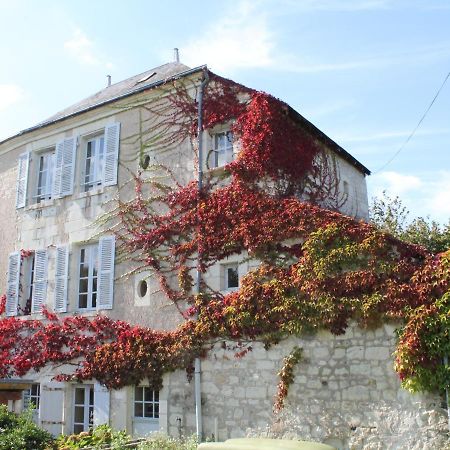 Maison La Roche-Posay, 2 pièces, 3 personnes - FR-1-541-52 Villa Esterno foto